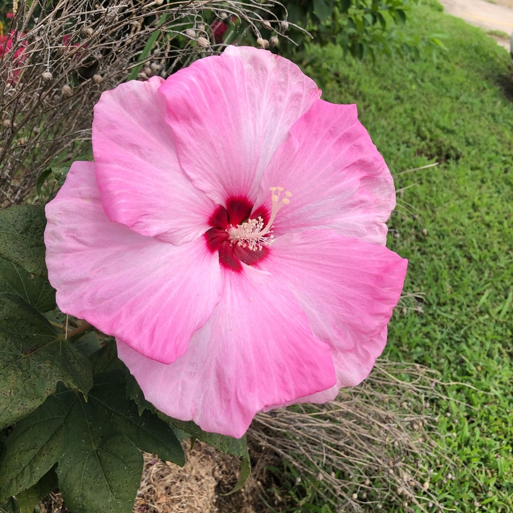 Meet your Posher, Kathryn